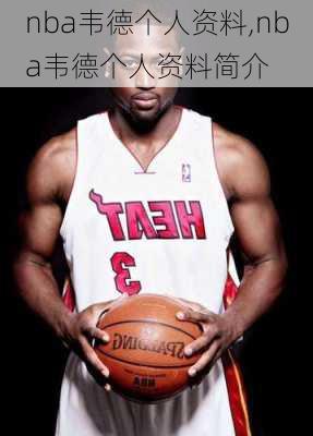 nba韦德个人资料,nba韦德个人资料简介