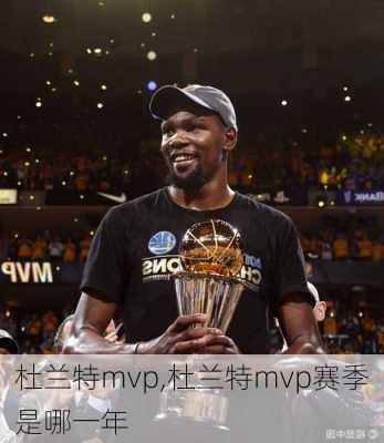 杜兰特mvp,杜兰特mvp赛季是哪一年