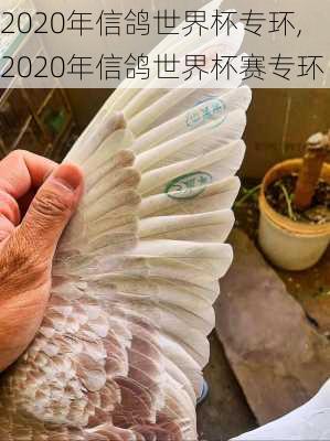 2020年信鸽世界杯专环,2020年信鸽世界杯赛专环