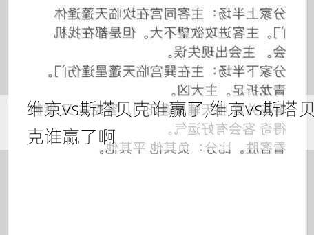 维京vs斯塔贝克谁赢了,维京vs斯塔贝克谁赢了啊