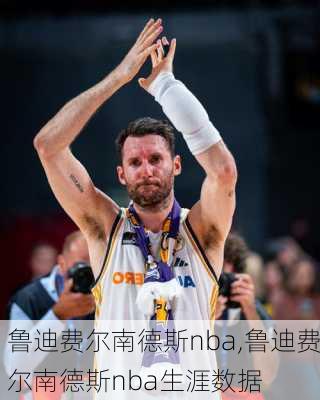 鲁迪费尔南德斯nba,鲁迪费尔南德斯nba生涯数据