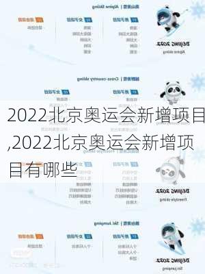 2022北京奥运会新增项目,2022北京奥运会新增项目有哪些