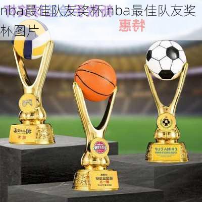 nba最佳队友奖杯,nba最佳队友奖杯图片