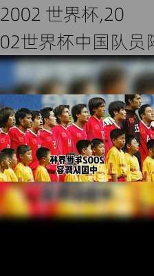 2002 世界杯,2002世界杯中国队员阵容