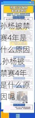 孙杨被禁赛4年是什么原因,孙杨被禁赛4年是什么原因呢