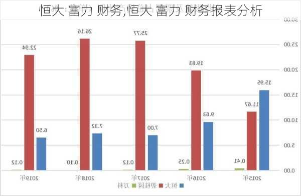 恒大 富力 财务,恒大 富力 财务报表分析