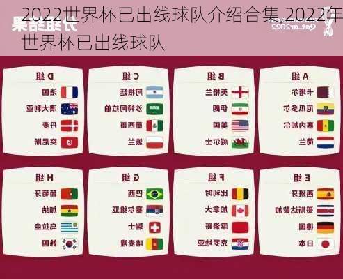 2022世界杯已出线球队介绍合集,2022年世界杯已出线球队