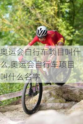 奥运会自行车项目叫什么,奥运会自行车项目叫什么名字