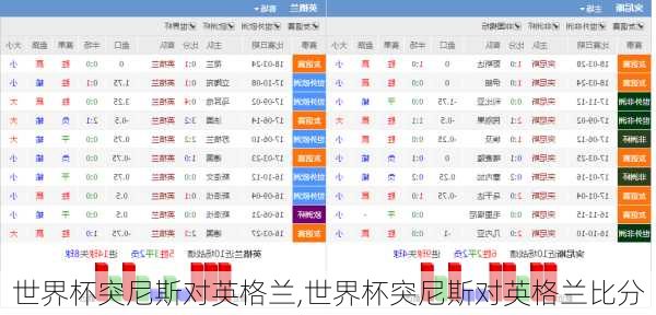 世界杯突尼斯对英格兰,世界杯突尼斯对英格兰比分