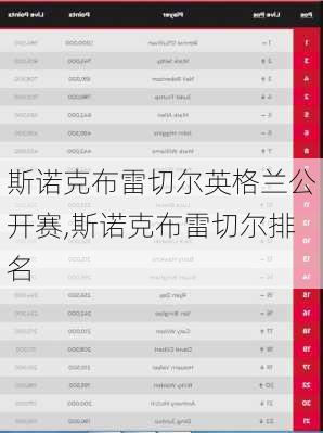 斯诺克布雷切尔英格兰公开赛,斯诺克布雷切尔排名