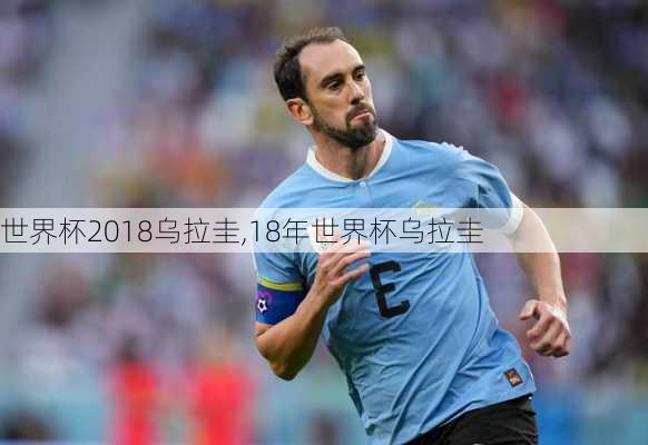 世界杯2018乌拉圭,18年世界杯乌拉圭