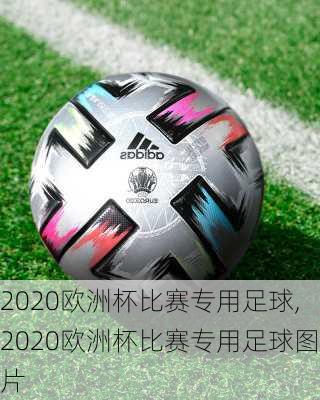 2020欧洲杯比赛专用足球,2020欧洲杯比赛专用足球图片