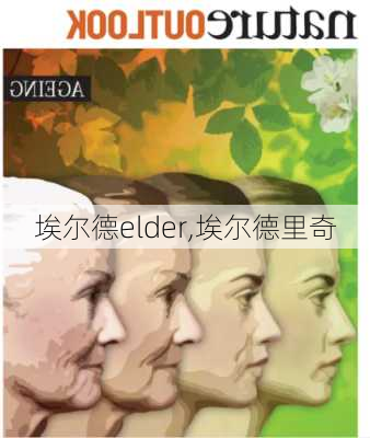 埃尔德elder,埃尔德里奇