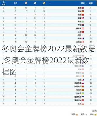 冬奥会金牌榜2022最新数据,冬奥会金牌榜2022最新数据图