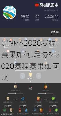 足协杯2020赛程赛果如何,足协杯2020赛程赛果如何啊