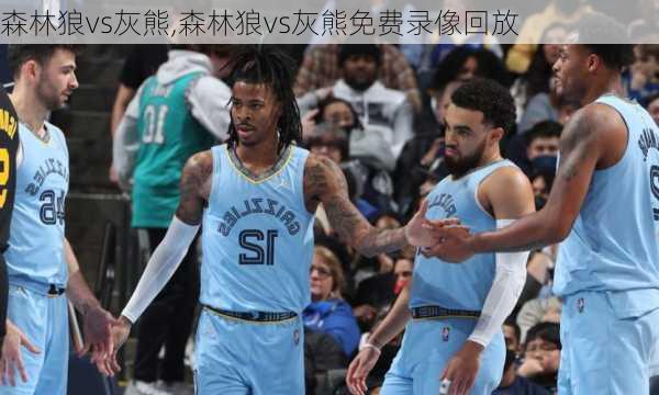 森林狼vs灰熊,森林狼vs灰熊免费录像回放