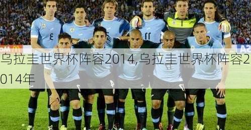 乌拉圭世界杯阵容2014,乌拉圭世界杯阵容2014年