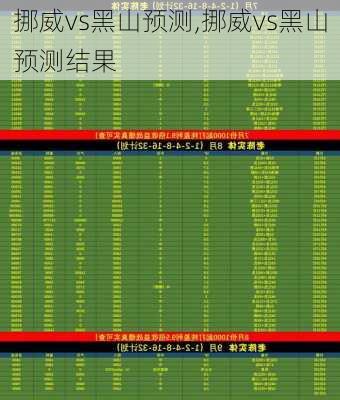 挪威vs黑山预测,挪威vs黑山预测结果