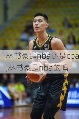 林书豪是nba还是cba,林书豪是nba的吗