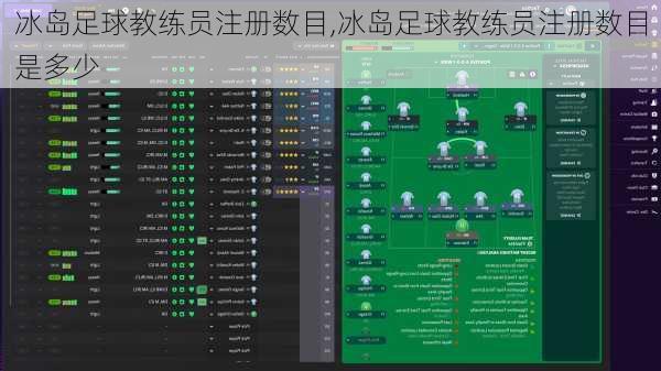 冰岛足球教练员注册数目,冰岛足球教练员注册数目是多少