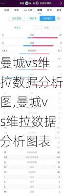 曼城vs维拉数据分析图,曼城vs维拉数据分析图表