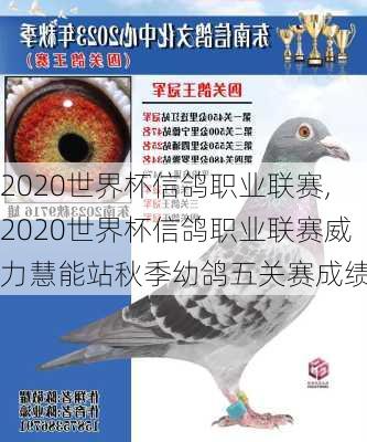 2020世界杯信鸽职业联赛,2020世界杯信鸽职业联赛威力慧能站秋季幼鸽五关赛成绩