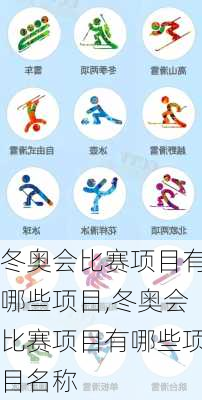 冬奥会比赛项目有哪些项目,冬奥会比赛项目有哪些项目名称