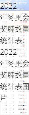 2022年冬奥会奖牌数量统计表,2022年冬奥会奖牌数量统计表图片