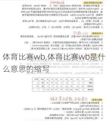 体育比赛wb,体育比赛wb是什么意思的缩写