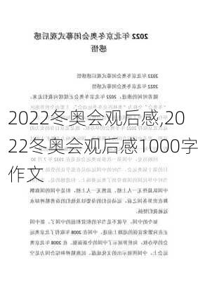 2022冬奥会观后感,2022冬奥会观后感1000字作文