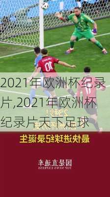 2021年欧洲杯纪录片,2021年欧洲杯纪录片天下足球