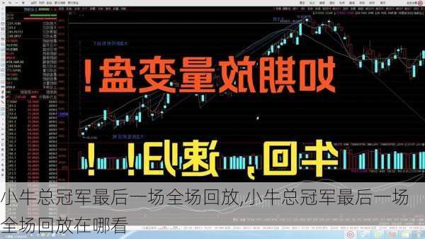 小牛总冠军最后一场全场回放,小牛总冠军最后一场全场回放在哪看