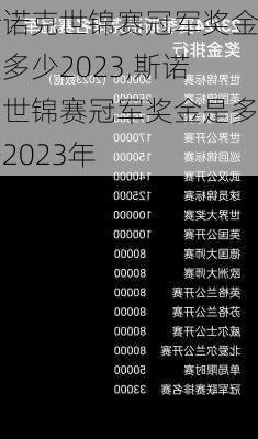 斯诺克世锦赛冠军奖金是多少2023,斯诺克世锦赛冠军奖金是多少2023年