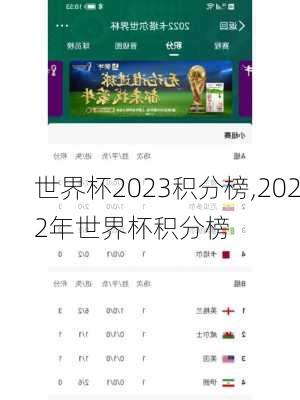 世界杯2023积分榜,2022年世界杯积分榜